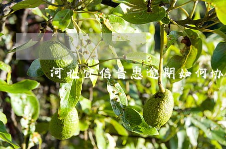 河北宜信普惠逾期如何协商