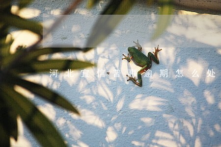 河北宜信普惠逾期怎么处理