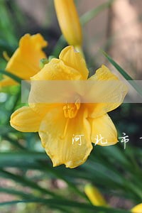 河北市场法律咨询哪家好 河北市场法律咨询哪家好