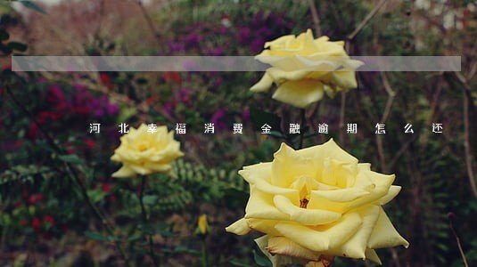 河北幸福消费金融逾期怎么还 河北幸福消费金融逾期怎么还