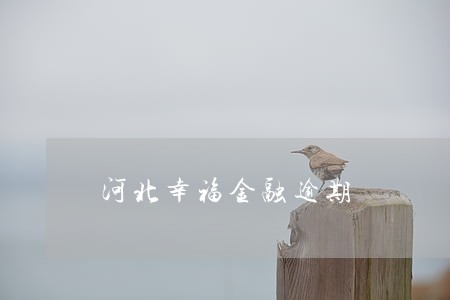 河北幸福金融逾期 河北幸福金融逾期