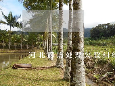 河北廊坊处理欠款纠纷律师选谁 河北廊坊处理欠款纠纷律师选谁
