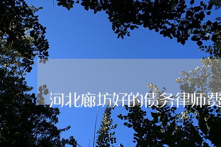 河北廊坊好的债务律师费用 河北廊坊好的债务律师费用
