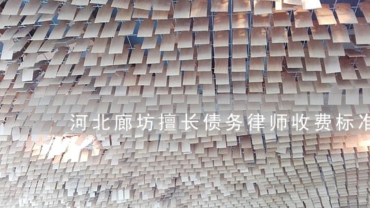 河北廊坊擅长债务律师收费标准 河北廊坊擅长债务律师收费标准