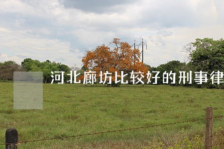 河北廊坊比较好的刑事律师排名 河北廊坊比较好的刑事律师排名