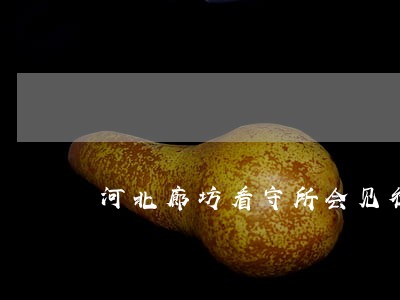 河北廊坊看守所会见律师 河北廊坊看守所会见律师