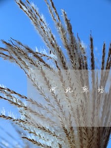 河北廊坊离婚债务律师收费标准 河北廊坊离婚债务律师收费标准