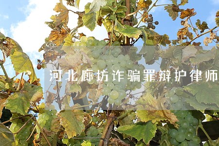 河北廊坊诈骗罪辩护律师收费标准 河北廊坊诈骗罪辩护律师收费标准