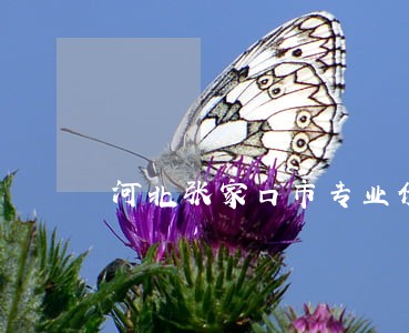 河北张家口市专业债务律师介绍 河北张家口市专业债务律师介绍