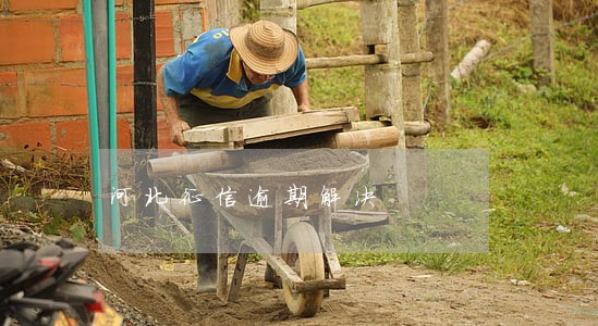 河北征信逾期解决 河北征信逾期解决