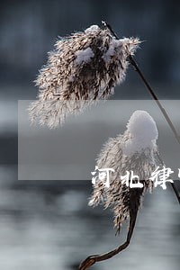 河北律师 河北律师