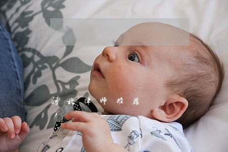 河北律师推荐 河北律师推荐