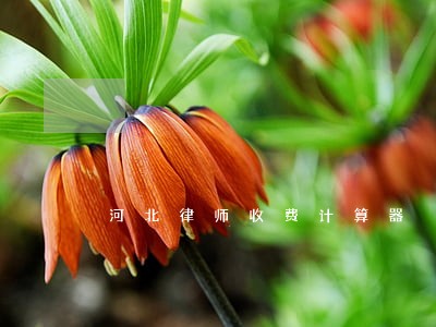 河北律师收费计算器 河北律师收费计算器