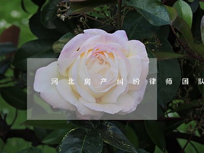 河北房产纠纷律师团队 河北房产纠纷律师团队