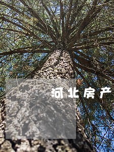 河北房产纠纷律师流程 河北房产纠纷律师流程