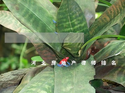 河北房地产律师排名