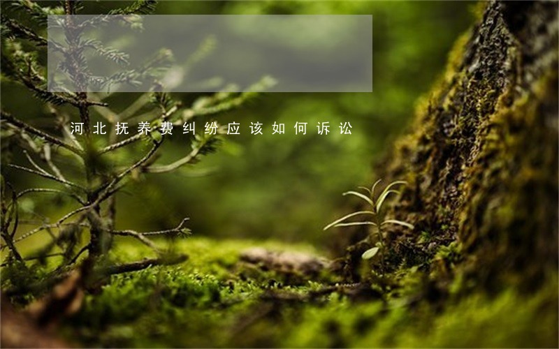 河北抚养费纠纷应该如何诉讼 河北抚养费纠纷应该如何诉讼