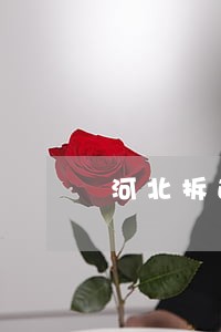 河北拆迁安置律师 河北拆迁安置律师