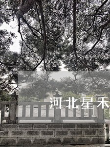 河北星禾法律咨询 河北星禾法律咨询