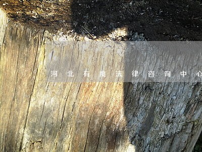 河北有度法律咨询中心 河北有度法律咨询中心