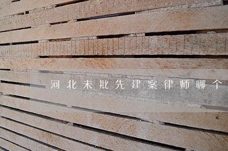 河北未批先建案律师哪个好 河北未批先建案律师哪个好