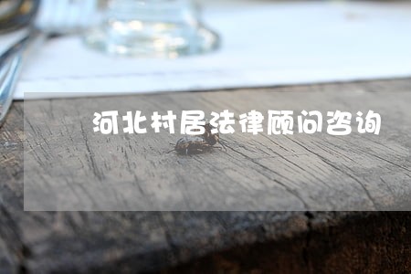河北村居法律顾问咨询 河北村居法律顾问咨询