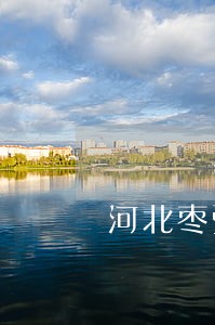 河北枣强法院起诉网 河北枣强法院起诉网
