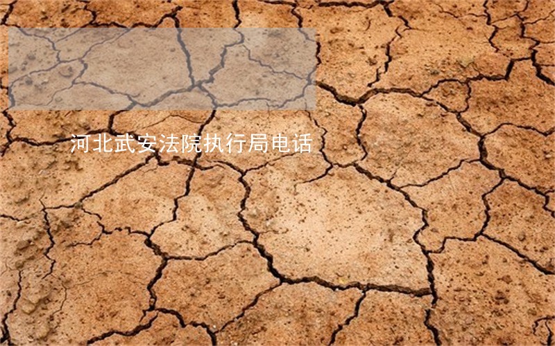 河北武安法院执行局电话