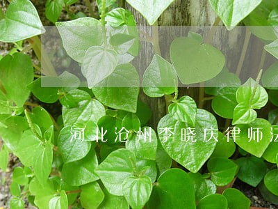 河北沧州李晓庆律师法律知识 河北沧州李晓庆律师法律知识