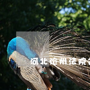 河北沧州法院刘振华 河北沧州法院刘振华
