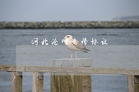 河北沧州离婚协议 河北沧州离婚协议