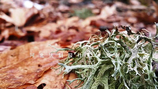 河北法制报社实业发展部简介 河北法制报社实业发展部简介