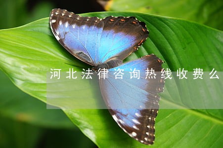 河北法律咨询热线收费么 河北法律咨询热线收费么