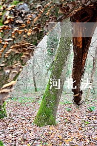 河北法律援助咨询价钱 河北法律援助咨询价钱