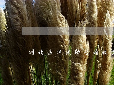 河北法律援助咨询收费 河北法律援助咨询收费
