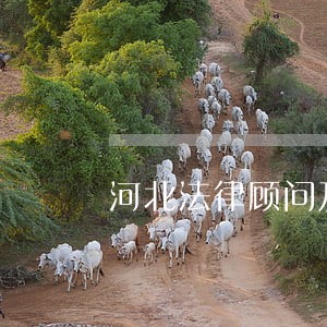 河北法律顾问及纠纷处理 河北法律顾问及纠纷处理