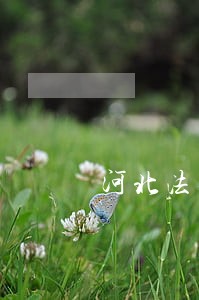 河北法律顾问起诉条件 河北法律顾问起诉条件