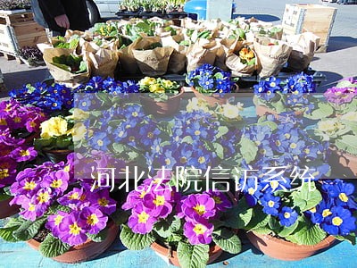 河北法院信访系统 河北法院信访系统