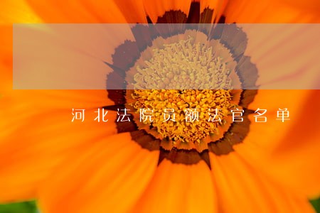 河北法院员额法官名单