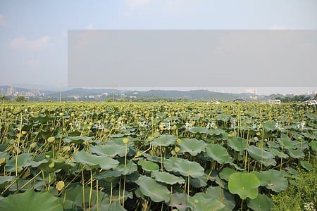 河北法院对拒执罪的处理 河北法院对拒执罪的处理