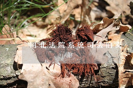 河北法院系统司法拍卖 河北法院系统司法拍卖