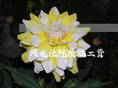 河北法院绩效工资 河北法院绩效工资