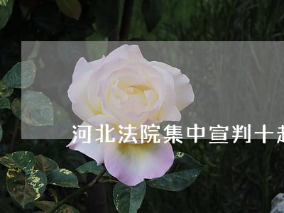 河北法院集中宣判十起涉黑恶案件 河北法院集中宣判十起涉黑恶案件