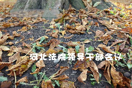 河北法院领导干部会议 河北法院领导干部会议