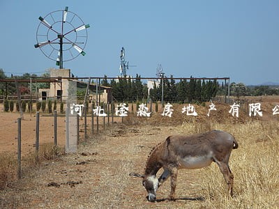 河北滏淼房地产有限公司商票逾期 河北滏淼房地产有限公司商票逾期