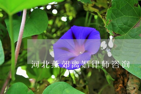 河北燕郊离婚律师咨询 河北燕郊离婚律师咨询