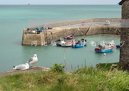 河北版权律师电话多少 河北版权律师电话多少