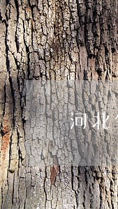 河北生源地贷款逾期 河北生源地贷款逾期