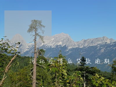 河北疫情后贷款逾期 河北疫情后贷款逾期