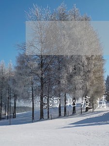 河北疫情逾期卡怎么办 河北疫情逾期卡怎么办